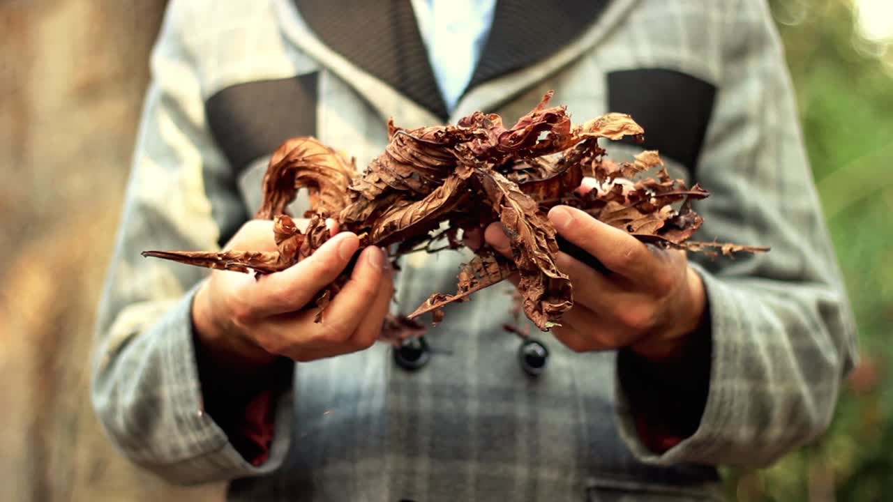 가을의 숲 나무 잎