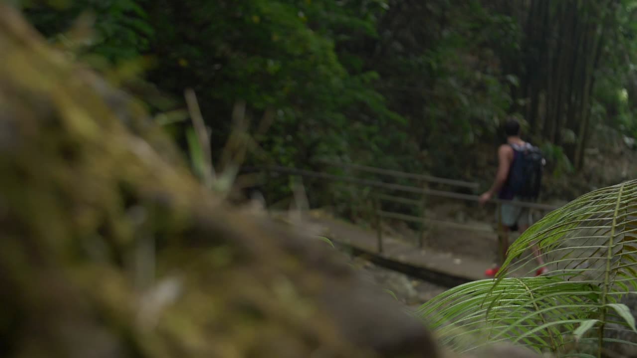 나무 다리에 초점이 맞지 않는 남자