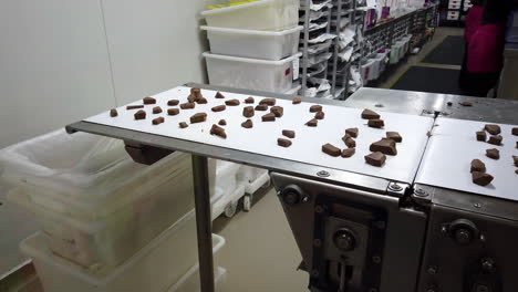 broken chocolate pieces on conveyor belt in a chocolate factory