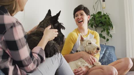 caucasian lesbian couple playing with their dogs sitting on the couch at home