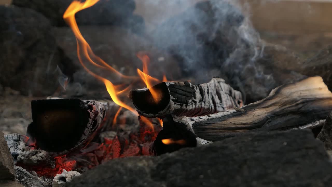 캠프 불 불 타는 나무 나무, 밖에서 불과 연기가, 가까운