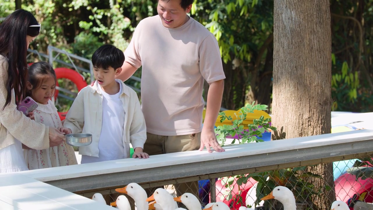 พ่อแม่และลูกๆ ให้อาหารเป็ดขาวจากสะพานท่ามกลางแสงแดดธรรมชาติกลางแจ้งที่สดใส
