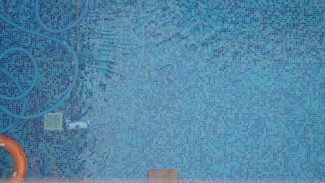 automatic pool cleaner in a blue tiled swimming pool