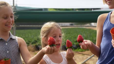 girls holding strawberries in the farm 4k