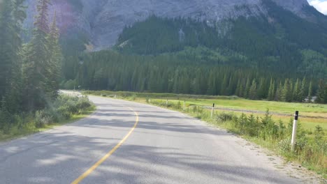beautiful landscape view of the local road among the natural beautiful national park in banff,canada with rockie mountain and pine tree forest in the background in summer daytime,alberta,canada