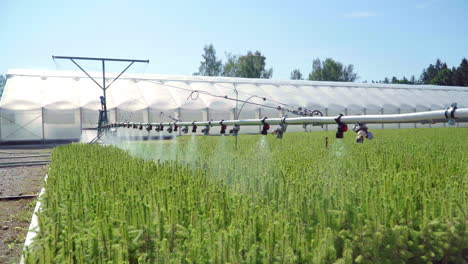 equipo para el riego de plantaciones. riego automático en la agroindustria