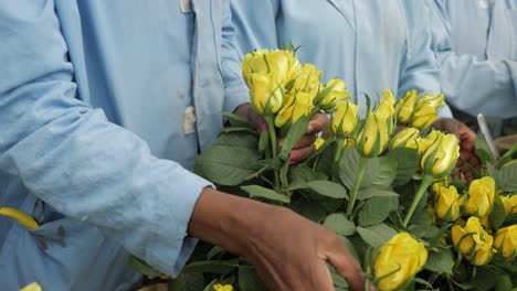 clasificación y corte de flores frescas en la fábrica