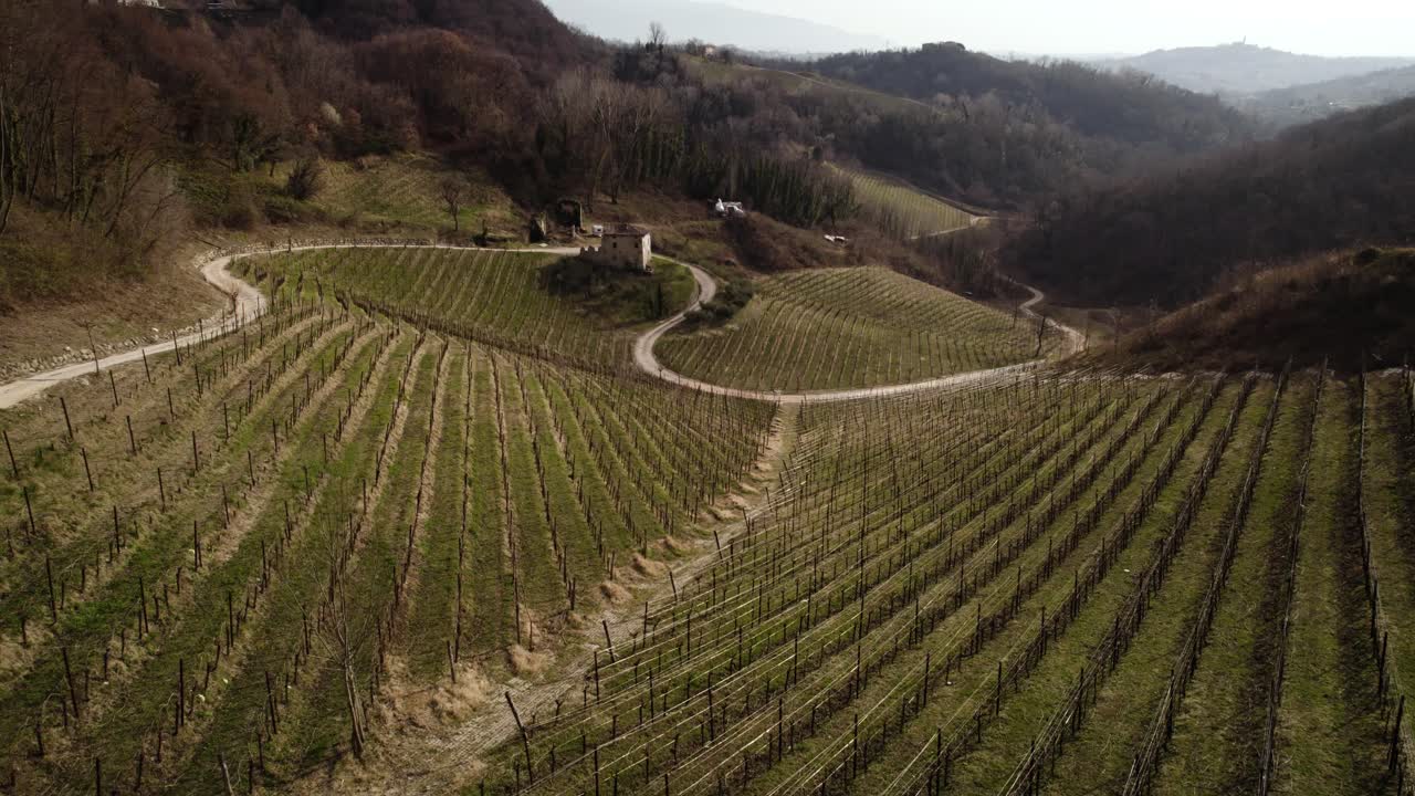 Veduta aerea paesaggistica di filari di vigneti nelle colline del Prosecco, Italia, in una giornata invernale