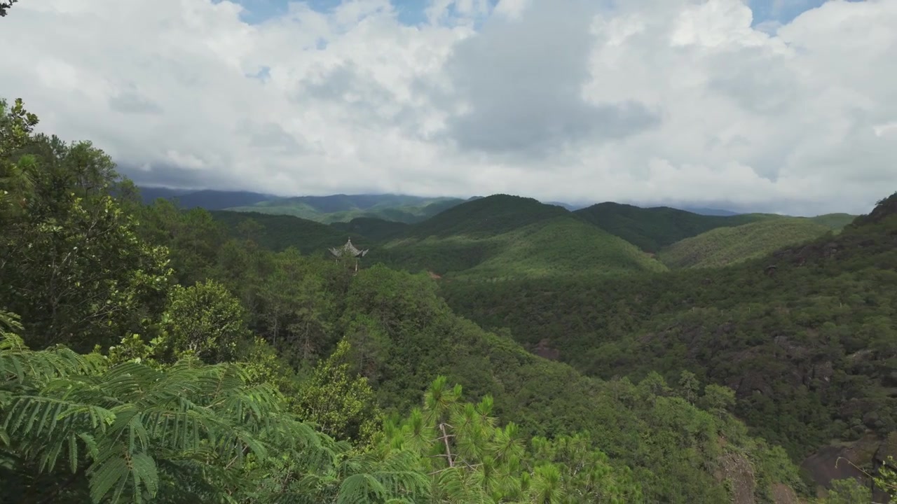 Prospettiva aerea cinematografica di dolci colline verdi e una fitta chioma forestale sotto un cielo nuvoloso e drammatico, che evidenzia la sostenibilità e la bellezza della natura.