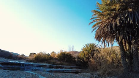 Un-Río-En-Medio-Del-Desierto-Del-Sahara-Argelia-Biskra