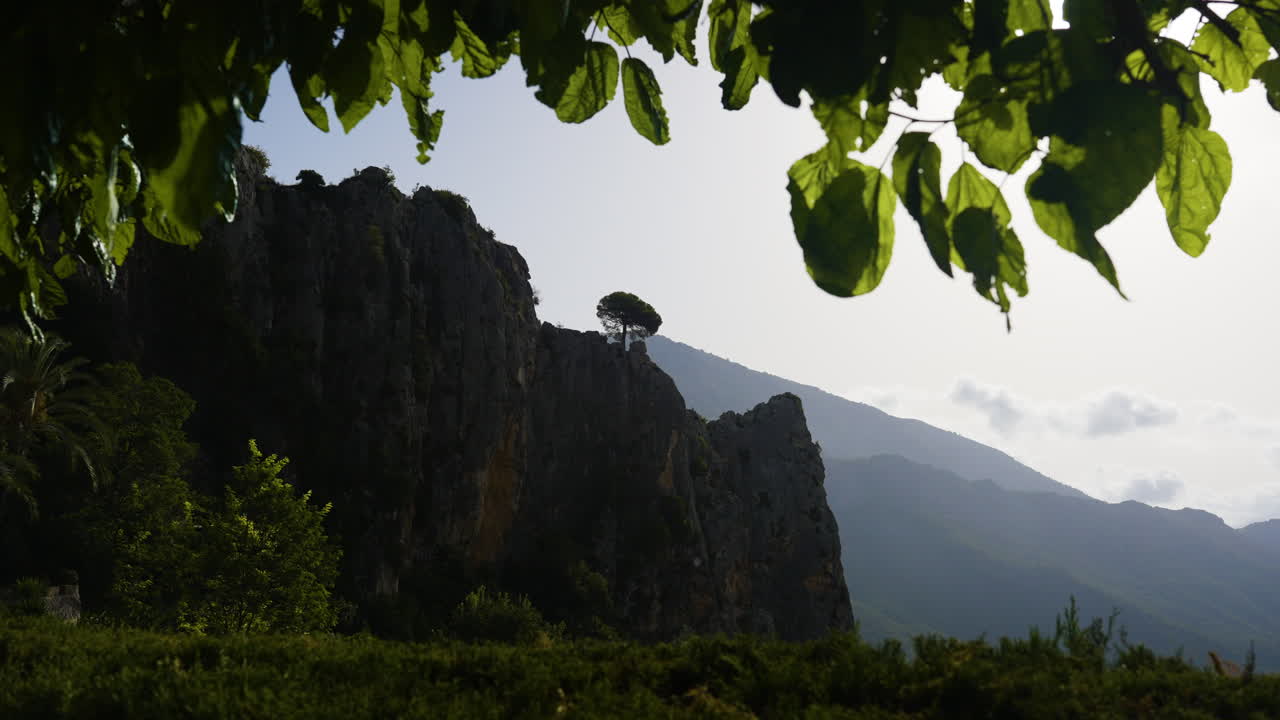 Rocky Mountain Landscape with Tree