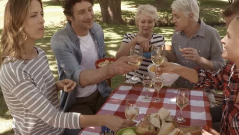 family has a picnic together