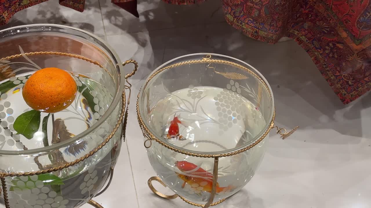 Wonderful glass fishbowl decoration with goldfish swimming nature of aquatic animal in aquarium and orange fruit float and freedom motion golden light reflection indoor round water pet decorative Iran