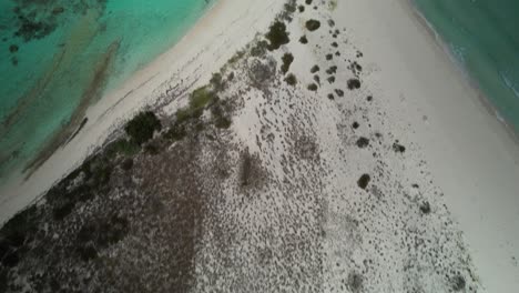 a sandy beach with a mix of vegetation and open space, aerial view