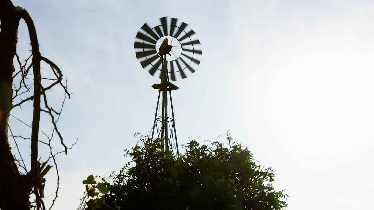 Old metal windmill turning in the wind with the sun setting in the background. Low angle