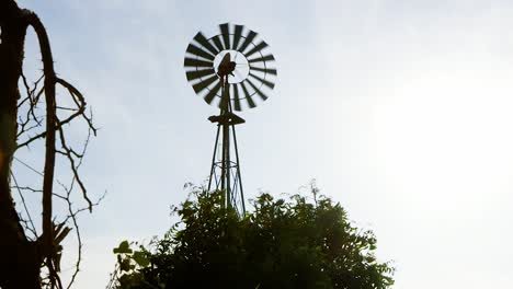 old metal windmill turning in the wind with the sun setting in the background. low angle
