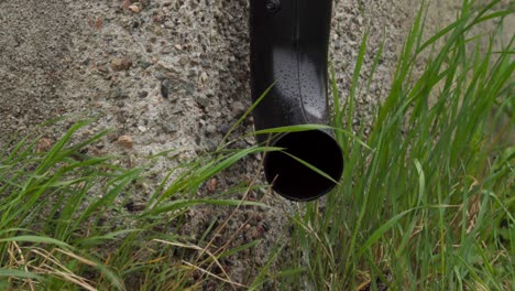 Gutter-Down-Spout-At-The-Wall-With-Growing-Grass