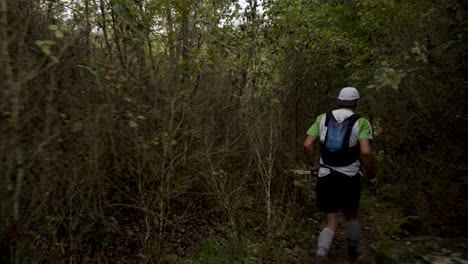 templars trail runner in dense millau woods, france - tracking shot