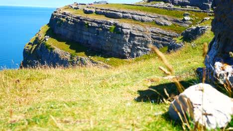 Birds-flying-against-blue-ocean-background-on-sunny-grass-rocky-mountain-coastal-cliff-edge