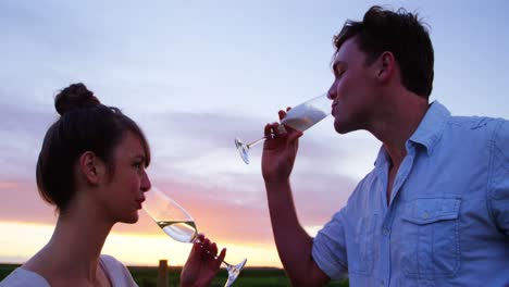 romantic couple having champagne in field