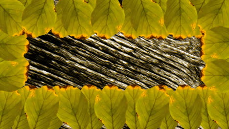 animation of green leaves over moving lines