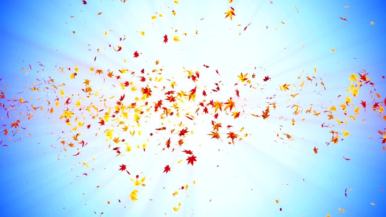 다채로운 메이플과 잎에서 나온 소용돌이, 가을 잎의 나선형 반이는 입자, 춤추는 잎, 다채로운 자연 터널 루프 애니메이션.