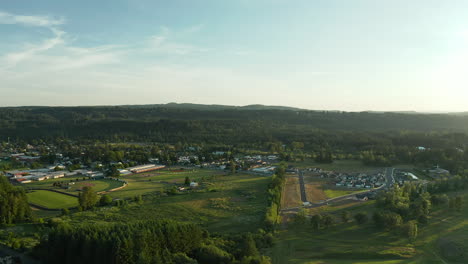 una foto de un dron de una pequeña ciudad rural verde