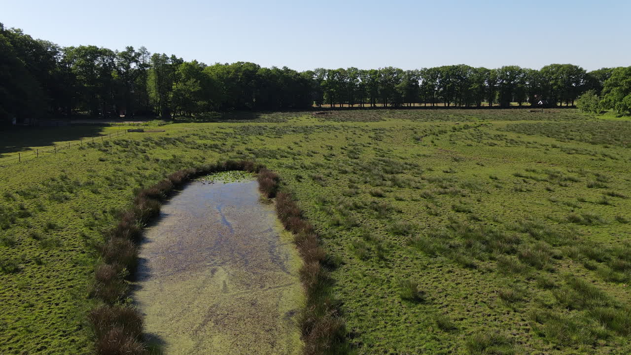 Drone shot of small pond and forest.