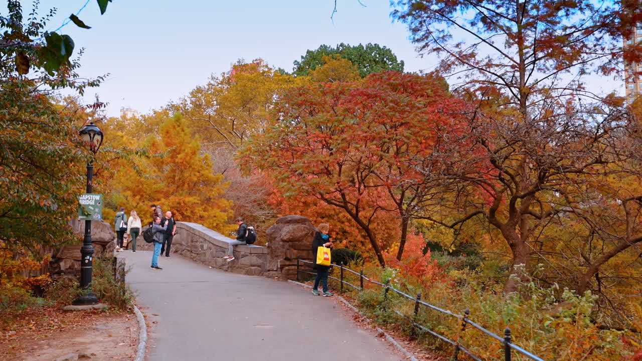 New York, USA, 28 ottobre 2025: Sentiero tra gli alberi autunnali. Persone che camminano lungo un sentiero colorato circondato da alberi autunnali a Central Park.
