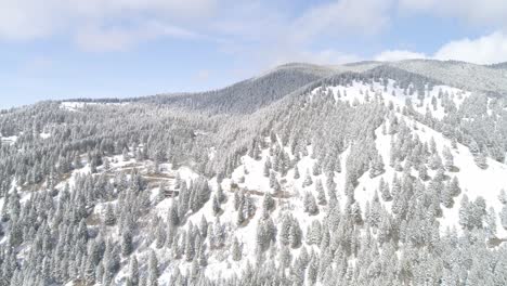 bozeman montana nevado bosques aéreos ruedas montañas álamos carreteras