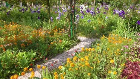 花在克勞德·莫內的花園中生長在法國的giverny 1