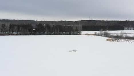 Rotschwanzfalke-Fliegt-Mit-Der-Kamera-In-Superzeitlupe-Im-Winter