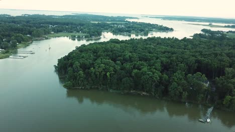 Küstenwald-Und-Landschaft-Der-Insel-Kent