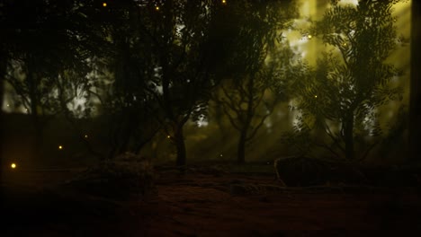 luciérnaga en el bosque brumoso con niebla
