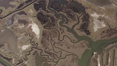 aerial view of a salt marsh ecosystem