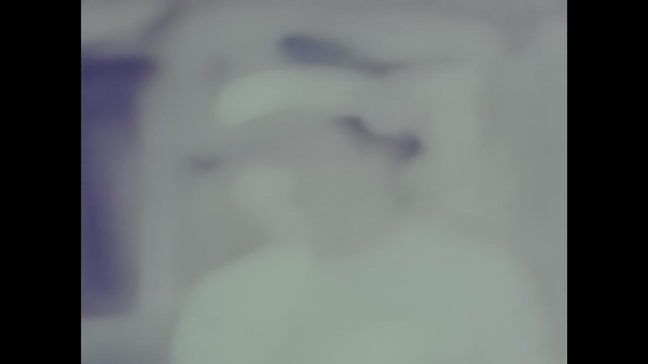 Man Standing at an Old Car Show in the 1970s, USA. CIRCA USA - 1970s: A candid video capturing man standing side by side at an old car show in the United States during the 1970s.