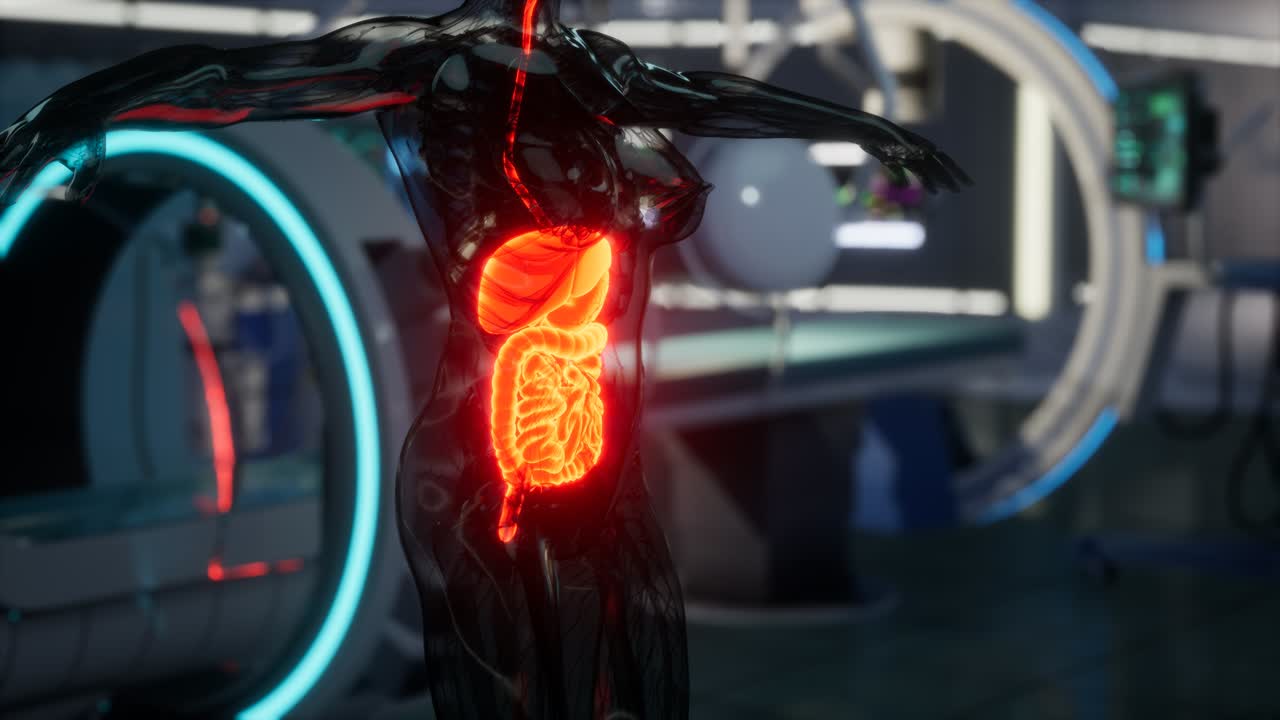 examen de anatomía del sistema digestivo humano en laboratorio