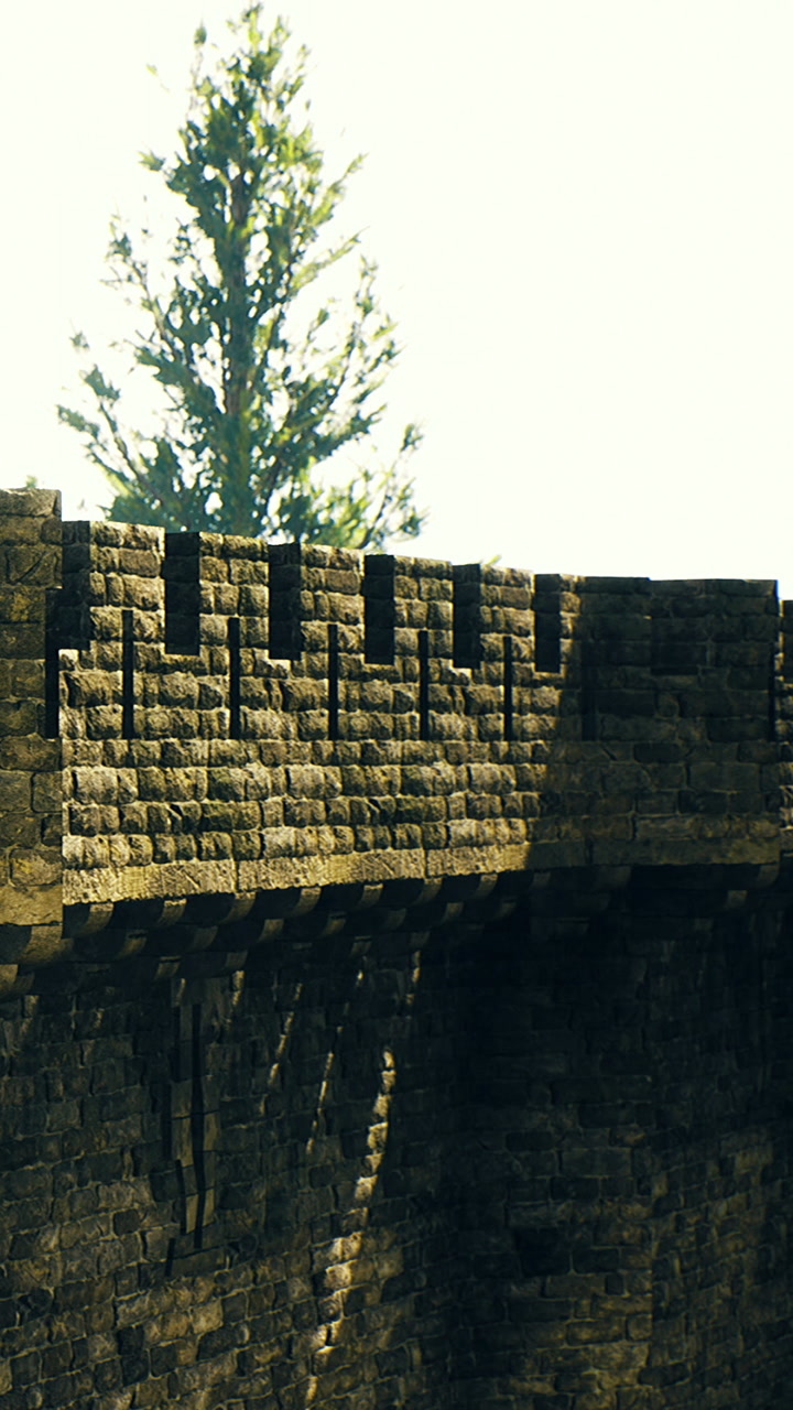 Sunlit stone wall with tall trees forming a peaceful backdrop