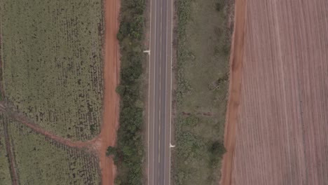 Road-next-to-a-crop-field-in-South-America-filmed-by-a-drone---vertical-shot-moving-forwards