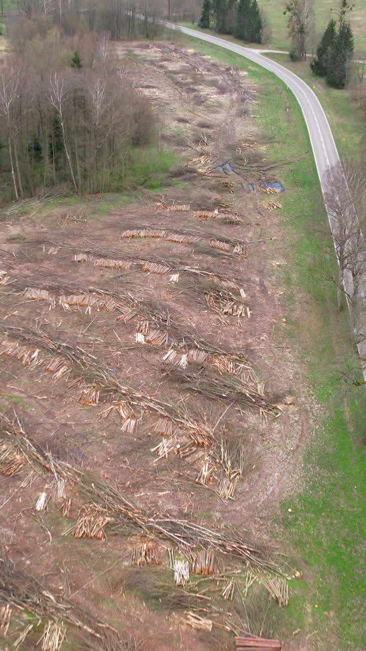 High angle aerial shot showing extensive tree removal and stacked logs in a cleared forest area next to a winding road. Ideal for environmental and industrial themes