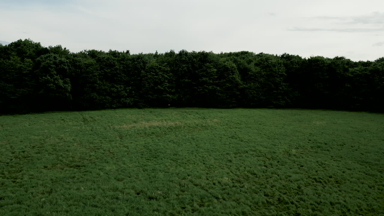 drone volando sobre los campos verdes del parque gayeulles cerca de la ciudad de rennes, francia