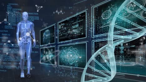 Animation-of-dna-strand-and-skeleton-over-data-processing