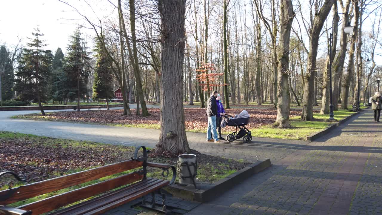 Прогулка в парке. Съемка днем