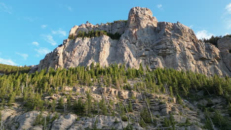 evergreen forest mountain peak illuminated by golden hour sunset light