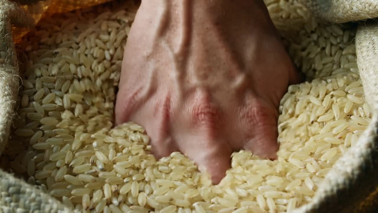 Una mano sospesa si abbassa e preme in un sacco di riso di iuta, spingendo i chicchi di lato e creando una cavità.