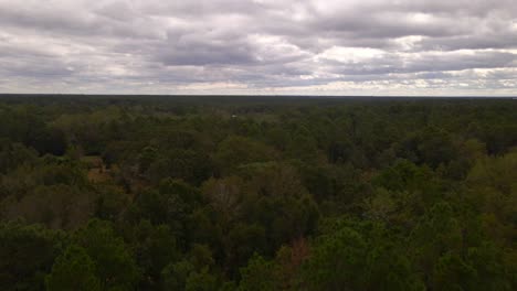 Flying-over-a-forest-on-a-cloudy-day