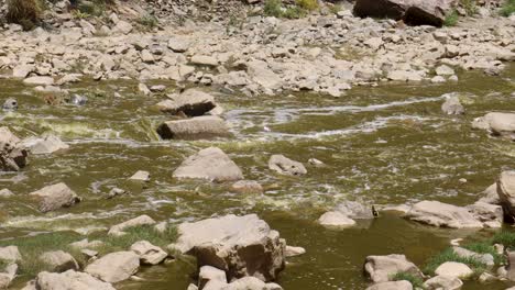 kabul river