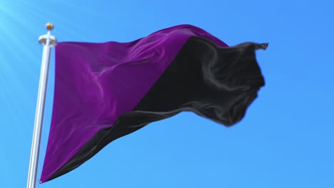 anarca feminismo bandera agitando en el viento, lento. bucle