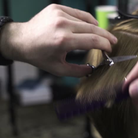 peluquero cortando el cabello