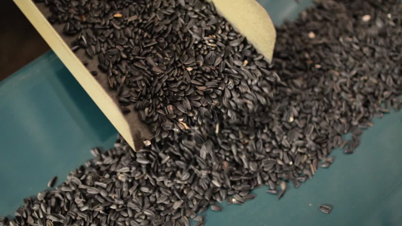 공장에서 질을 벗긴 꽃 씨